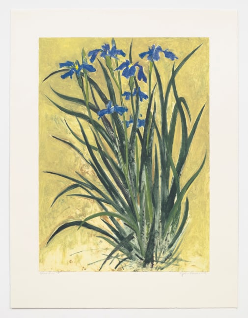 John Alexander
Blue Iris, 1999
monoprint from a series of VI
38 x 29 in. / 96.5 x 73.7 cm

Sold