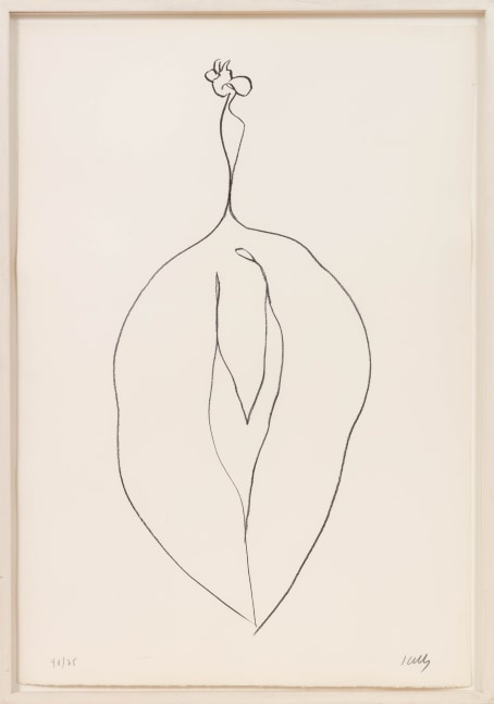 Ellsworth Kelly
Seaweed (Algue), 1965-1966
lithograph, edition of 75
35 5/8 x 24 3/4 in. / 90.5 x 62.9 cm