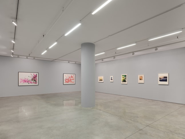 Installation view of Zao Wou-Ki: Prints exhibition at Marlborough