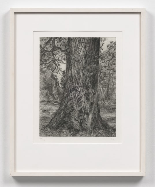 A Lucian Freud etching depicting the base of a tree and surrounding landscape