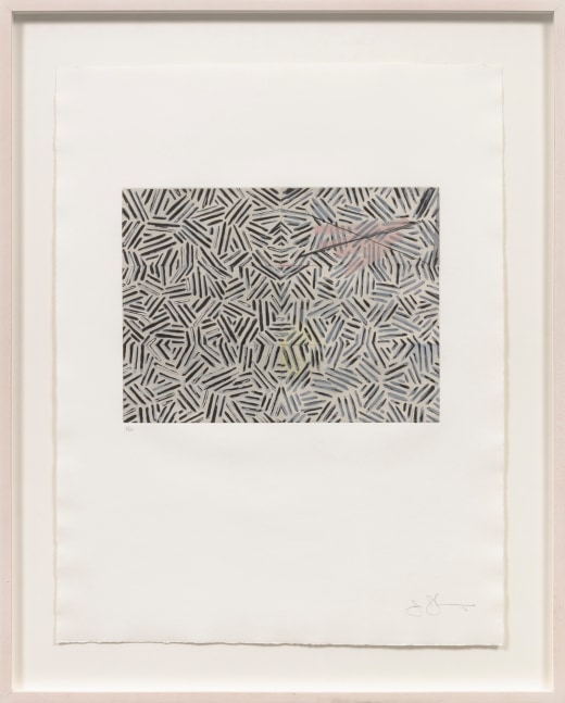 Jasper Johns