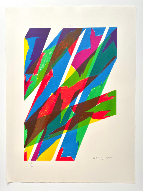 A colorful, geometric Piero Dorazio screenprint featuring bold lines filled with colorful shapes going all directions