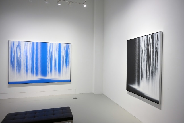 Hiroshi Senju: Physical/Metaphysical