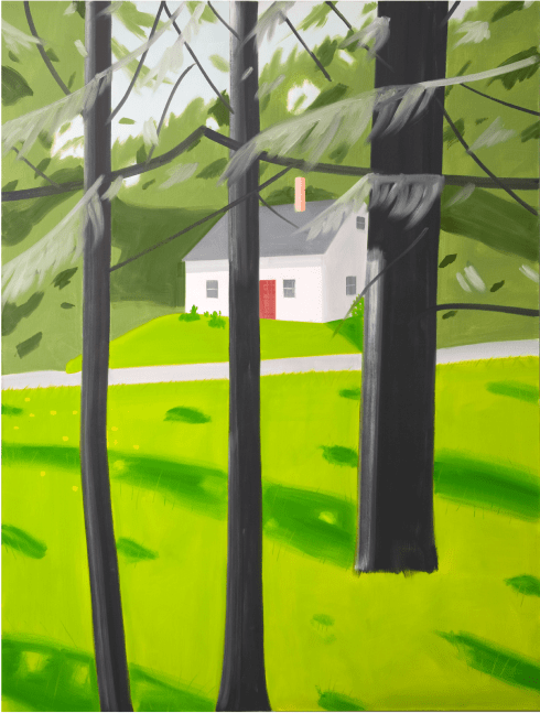 Red door, 2005

&amp;Oacute;leo sobre lienzo

320,5 x 244,5 cm