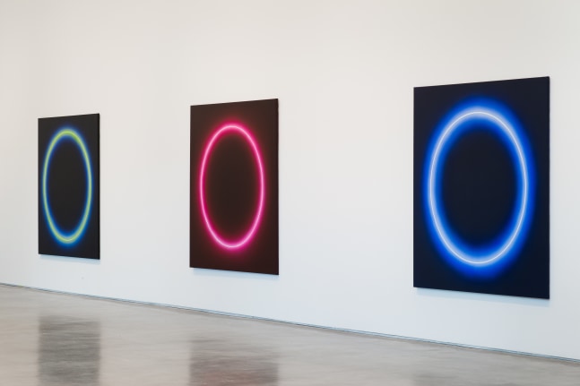 José María Yturralde. Enso. Vista de instalación