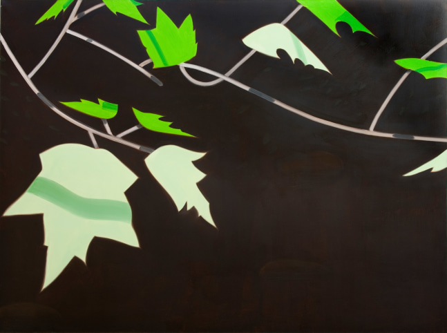 Black brook 7, 1989

&amp;Oacute;leo sobre lienzo

182,5 x 244,5 cm&amp;nbsp;