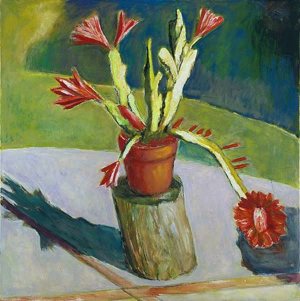 Orchid Cactus II,&amp;nbsp;July 1983

oil on canvas

44 x 44 inches; 111.8 x 111.8 centimeters

&amp;nbsp;