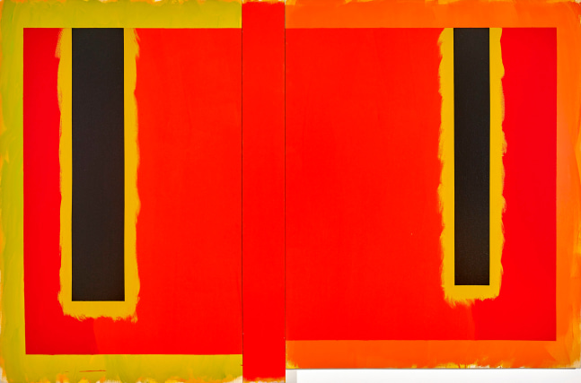 Cat Eyes, 1993, acrylic on canvas 72 x 110 inches;  182.9 x 279.4 centimeters LSFA# 13405