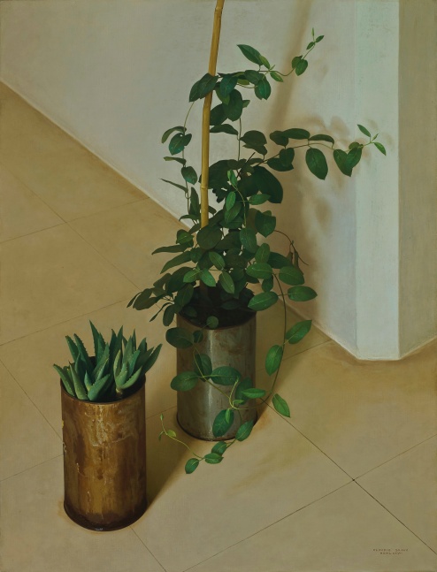 Claudio Bravo (1936-2011) Dos Plantas, 1977 oil on canvas 35 x 27 inches; 88.9 x 68.6 centimeters LSFA# 13085