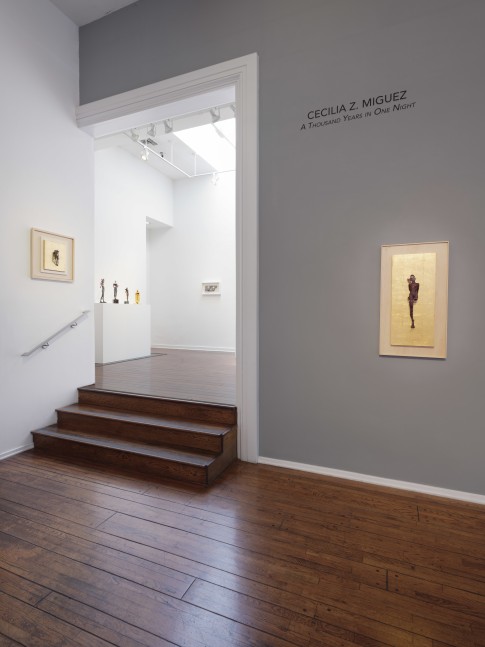Cecilia Z. Miguez: A Thousand Years in One Night