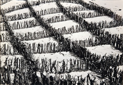 Judit K&amp;aacute;r&amp;aacute;sz&amp;nbsp;(1912-1977)

Dunes in Winter, 1935

Vintage silver gelatin print

6 1/2 x 9 inches; &amp;nbsp;16.5 x 22.9 centimeters

LSFA# 2352