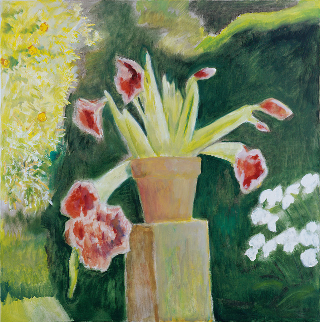 Orchid Cactus III,&amp;nbsp;March 1984

oil on canvas

48 x 48 inches; 121.9 x 121.9 centimeters