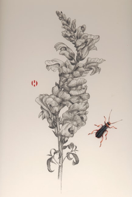 Snapdragon and Soldier Beetle, 2005

ink and Japanese watercolor

14 x 11 inches