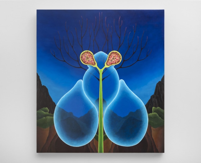 Kymber Holt (b. 1960)
Fig, 2009&amp;nbsp;
oil on canvas over panel
36 x 32 inches;&amp;nbsp;&amp;nbsp;91.4 x 81.3 centimeters
LSFA# 15448&amp;nbsp;