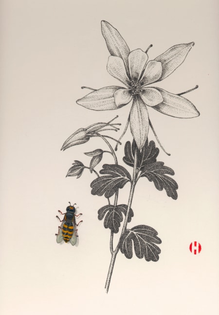Wild Honeysuckle and Hover Fly, 2006

ink and Japanese watercolor

14 x 11 inches