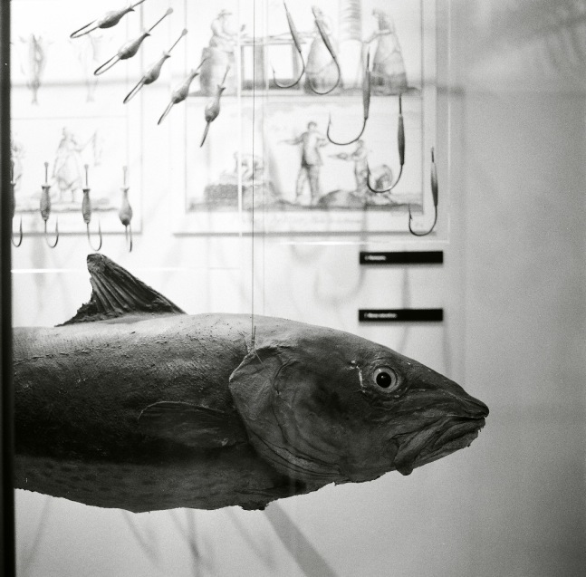 Alejandro Sanchez

Fish Head, Biarritz, 2008

black and white albumen print

24 x 24 inches; 60.96 x 60.96 centimeters