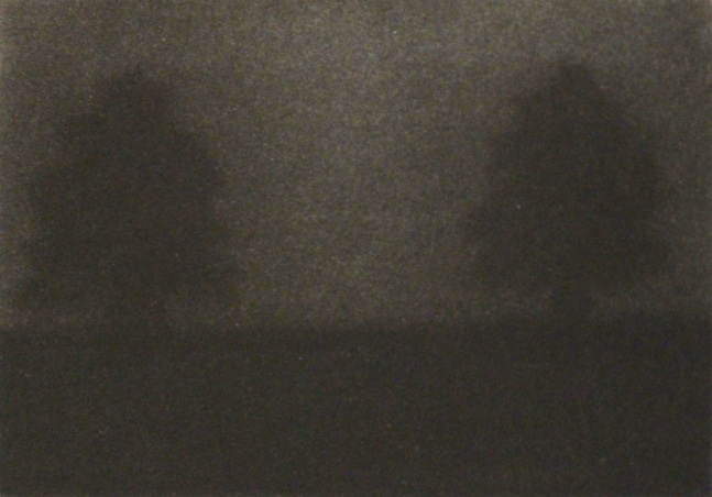 Michael Stolzer

Two Trees, 1998

carbon pencil and conte crayon

9 x 12 inches&amp;nbsp;