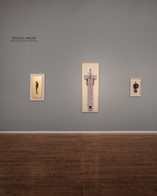 Cecilia Z. Miguez: A Thousand Years in One Night