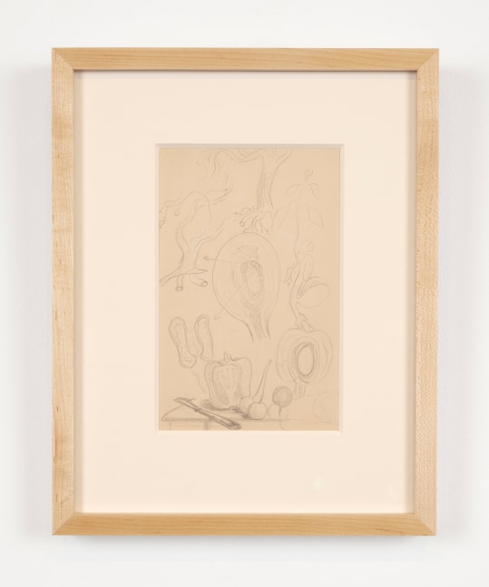 Helen Lundeberg (1908-1999)
Study for Plant and Animal Analogies, c. 1934&amp;nbsp;
graphite on paper
8 1/2 x 5 1/2 inches;&amp;nbsp;&amp;nbsp;21.6 x 14 centimeters
LSFA# 16250&amp;nbsp;