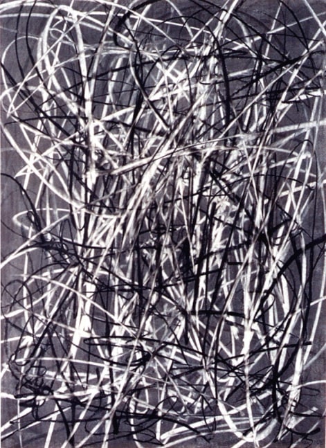 Judith Foosaner

Last Seen II, 2000

charcoal on paper

28 3/4 x 21 1/4 inches