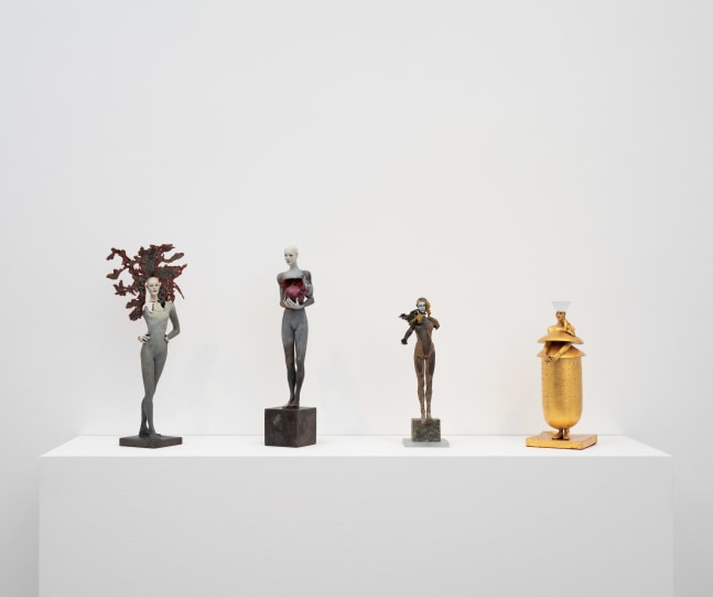 Cecilia Z. Miguez: A Thousand Years in One Night