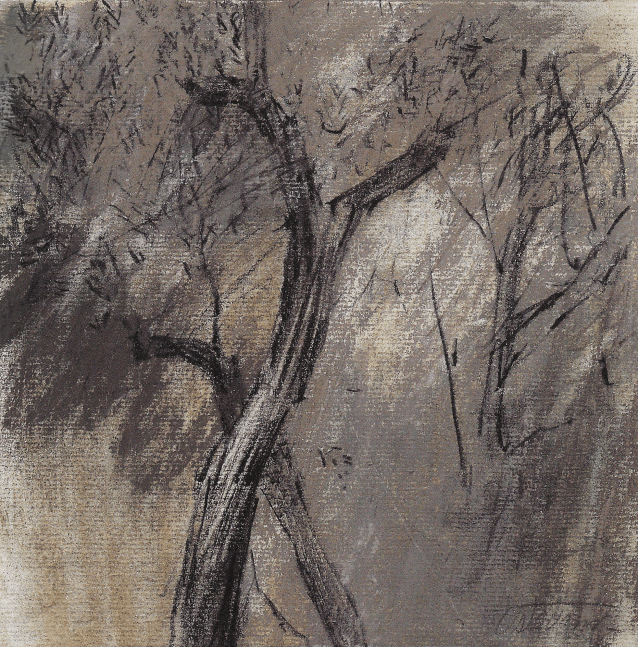 Olive Tree, 2001

pastel

8 1/4 x 8 1/4 inches