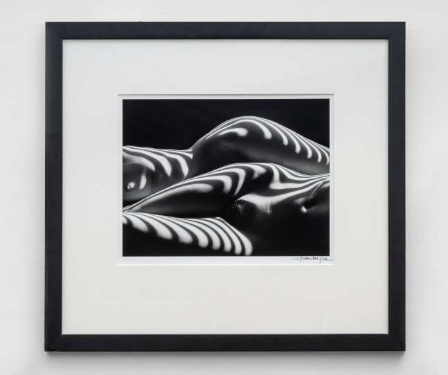 Lucien Clergue (1934-2014) Deux Nu Zebres, New York, 2005 Ed. 2/30 silver gelatin print 12 x 16 inches; 30.5 x 40.6 centimeters LSFA# 10224