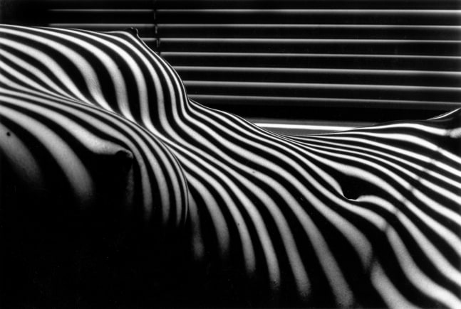 Lucien Clergue (1934-2014) Nu Zebre, New York, 1997 silver gelatin print, Artist's Proof 18 x 23 1/2 inches; 45.7 x 59.7 centimeters ​LSFA# 10433