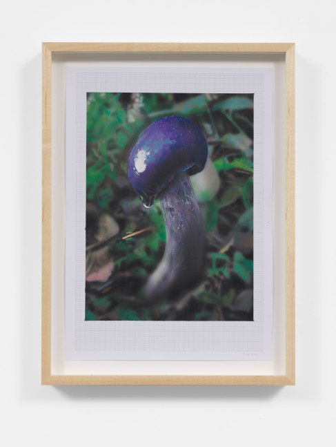 Craig Boagey
Mushroom study on A4, (Purple Pouch), 2020
Coloured pencil, acrylic on paper
8.27h x 11.69w in
21h x 29.70w cm