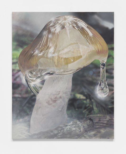 Craig Boagey

Mushroom 1, Brown cap, 2020

Oil and acrylic on canvas

60h x 48w in
152.40h x 121.92w cm