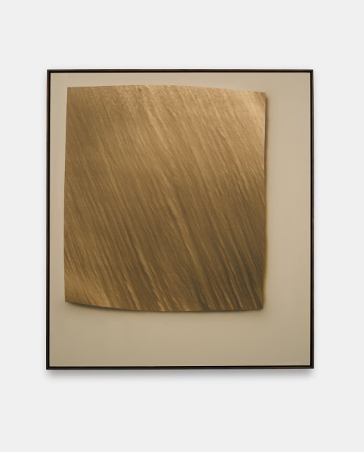 Tycjan Knut
p26, 2023
Acrylic on linen
70.87h x 62.99w in
180h x 160w cm