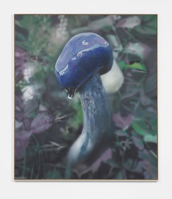 Craig Boagey
Mushroom 3, Purple cap, 2020
Oil, acrylic on canvas
75h x 86.50w in
190.50h x 219.71w cm