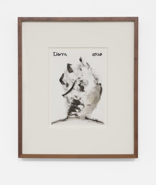 Elizabeth Ibarra

Untitled (bust), 2020

Ink on Yupo paper

7h x 5w in
17.78h x 12.70w cm