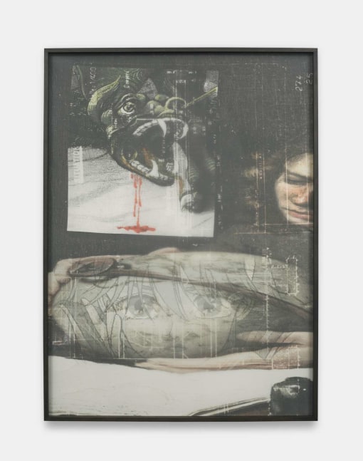 Jon Rafman
Annals ofTime Lost #2 - Young Explorer, 2013
Archival pigment print on Chiffon, metal blueprint rack
47.60h x 32.30w in
120.90h x 82.04w cm