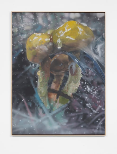 Craig Boagey
Suillus Americanus, 2021
Oil, acrylic on linen
82.68h x 62.99w in
210h x 160w cm