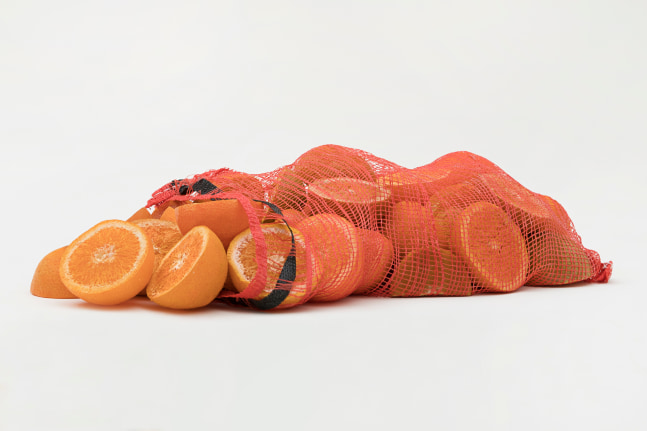 Tyler Macko

Small bag of oranges, 2017

Smoothcast 326, oil and acrylic in nylon bag

Dimensions variable
