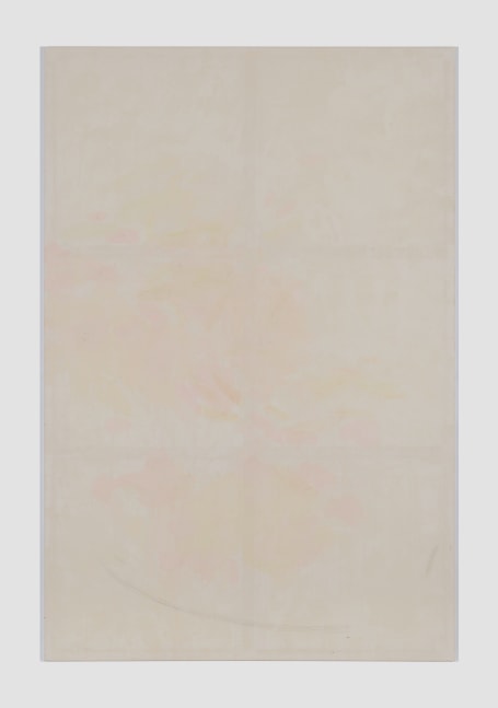 Flora Hauser
Piccini 2, 2014
Pencil on canvas
94.5h x 63w in
240h x 160w cm