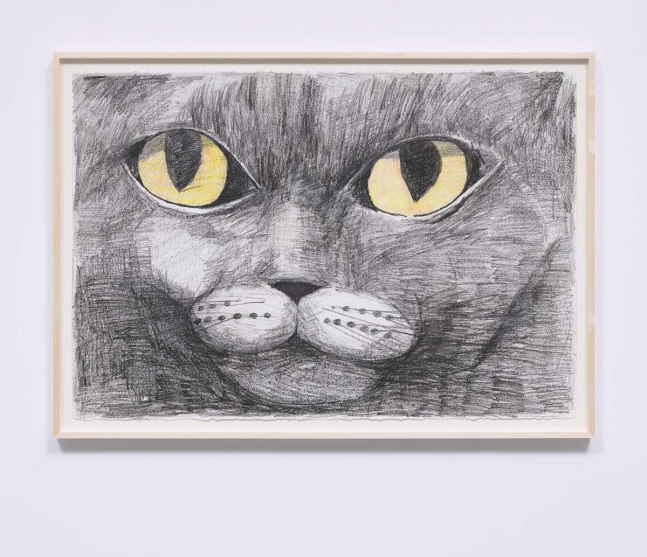 Matthew Chambers
Sam, 2018
Colored pencil and wax crayon on paper
29.50h x 44.00w in
74.93h x 111.76w cm
 
