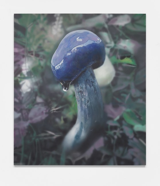 Craig Boagey

Mushroom 3, Purple cap, 2020

Oil and acrylic on canvas

75h x 86.50w in
190.50h x 219.71w cm