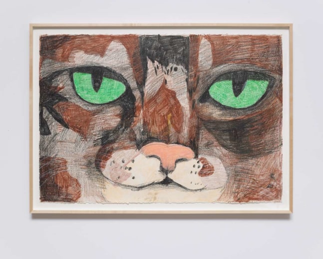 Matthew Chambers
Sheila, 2018
Colored pencil and wax crayon on paper
29.50h x 44.00w in
74.93h x 111.76w cm