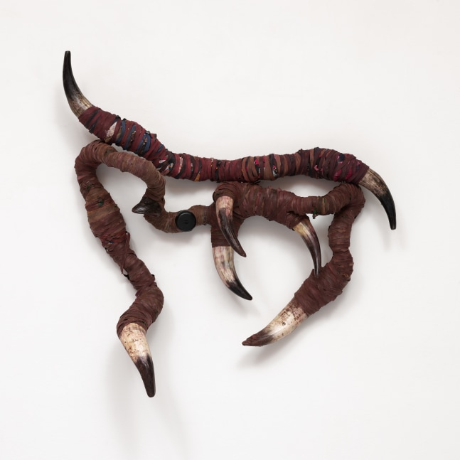 Takunda Regis Billiat

Bata Mudonzvo Ureurure (Hold the Staff
and confess), 2017

Cow horns, fabric binders and fabric strips

Dimensions variable