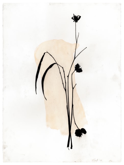 Randy Twaddle Arrangement #9, 2023 charcoal and coffee on paper 30" x 22 1/4" RT 466