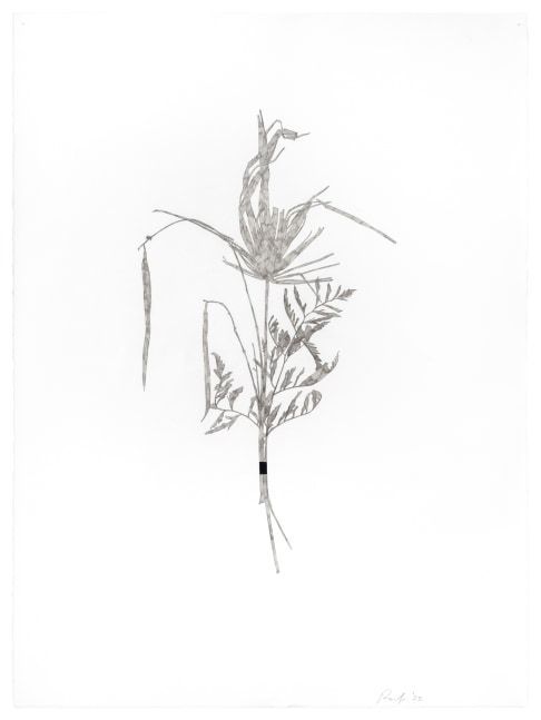Randy Twaddle Bouquet #3, 2023 ink on paper 30" x 22 1/4" RT 470
