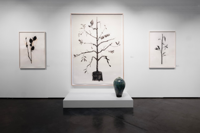 Untitled Art, Houston | Booth B6
Installation View
George R. Brown Convention Center
September 19-21, 2025