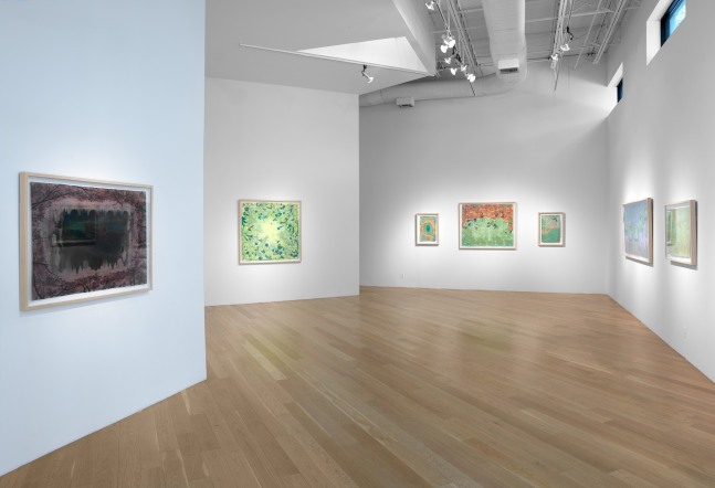 Liz Ward Earth's Eye, Installation View Moody Gallery May 10 - June 21, 2025