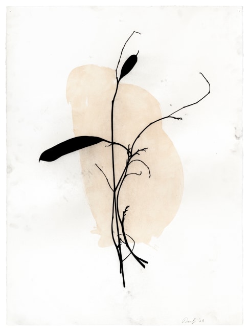 Randy Twaddle Arrangement #3, 2023 charcoal and coffee on paper 30" x 22 1/4" RT 460