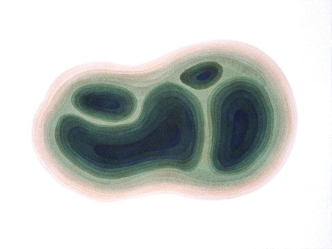 Liz Ward Green Aquifers, 2004 watercolor on paper 23" x 30 1/2" LW 152 Moody Gallery