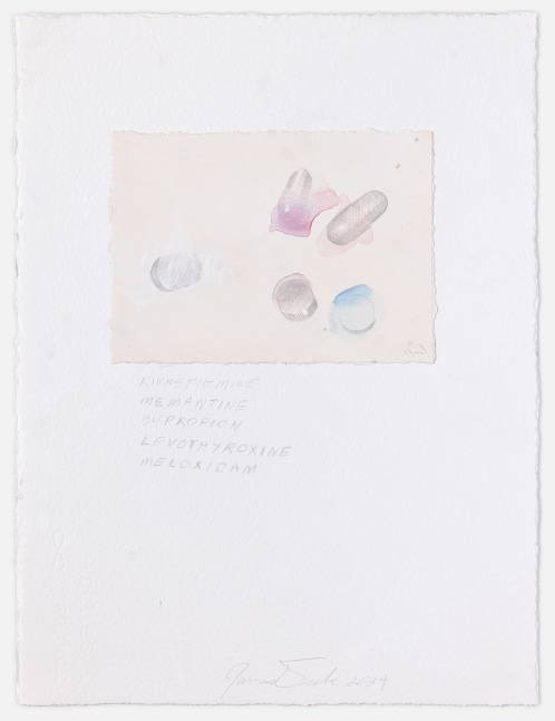James Drake Rivastigmine, 2024 silverpoint, ink on gessoed paper 15 1/8 x 11 3/8 JD 389, Moody Gallery