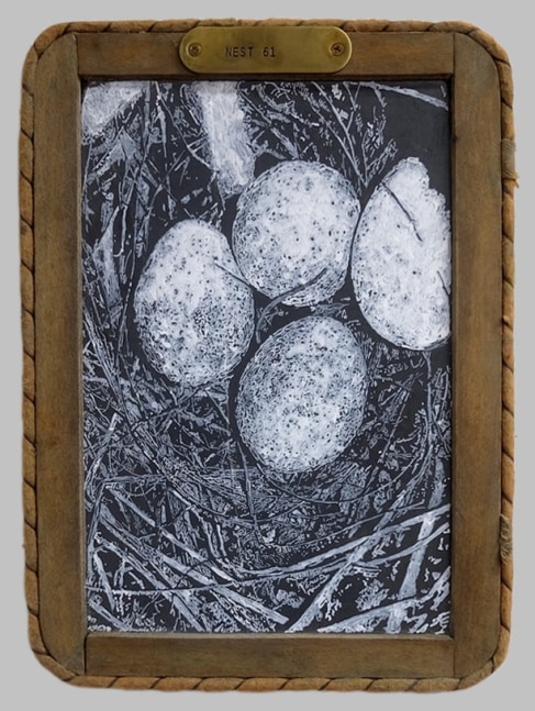 Helen Altman Nest 61, 2020 acrylic on vintage slate chalkboard and brass label 11" x 8" HA 808 Moody Gallery