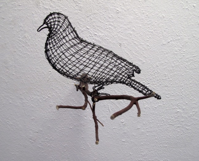 Helen Altman Settled Dove, 2019 wire, Manzanita branch 9" x 11" x 11 1/2" HA 728 Moody Gallery